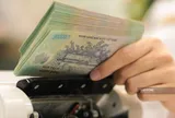 Tổ chức thu hồi toàn bộ kinh phí chi trả thừa Nghị định 178 tinh giản biên chế nộp ngân sách nhà nước đối với các trường hợp sai lệch chỉ tiêu tính toán theo Công văn 11769/STC-ĐPCS, cụ thể ra sao?