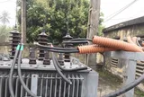 Cha con rủ nhau mang kìm, bao tải đi cắt trộm dây điện trong đêm, đến lần thứ 4 thì bị bắt quả tang