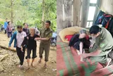 Xuyên đêm tìm cụ bà 80 tuổi mất tích trong rừng