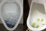Vì sao nhiều người đổ đá lạnh vào bồn cầu? Công dụng bất ngờ ít ai biết