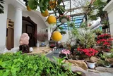 Cơ ngơi hàng sang trọng, đầm ấm tại Việt Nam của Tuấn Hưng trước khi đưa vợ con sang Mỹ