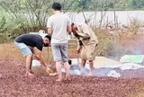 Danh tính người phụ nữ nghi bị nước lũ cuốn cùng ô tô sau hơn 40 giờ tìm kiếm