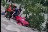 Cận cảnh khoảnh khắc công an giải cứu người đàn ông bám bụi cây giữa dòng nước lũ