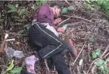 Vào rừng hái nấm, nghe tiếng chồng kêu cứu, người vợ chạy đến và chứng kiến cảnh đáng sợ