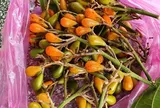 Giật mình loại quả mang tên "ngượng đỏ mặt" xưa cho không ai lấy, nay thành đặc sản phố thị