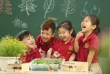 Thực hiện phổ cập giáo dục mầm non cho trẻ em từ 5 đến 6 tuổi, giáo dục bắt buộc và xóa mù chữ từ 01/11/2026 theo nguyên tắc nào?