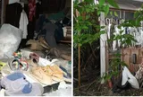 Cụ ông 78 tuổi sống giữa căn nhà ngập rác trị giá 50 tỷ đồng, ăn mỗi bữa 5.000 đồng, từ năm 1985 đến giờ chưa từng phải đến bệnh viện