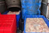 Tiến hành kiểm tra xe tải, cảnh sát phát hiện thứ "kinh dị" trong 7 thùng phi
