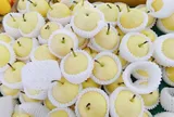 Người Trung Quốc thường kiêng biếu, tặng quả Lê: Vì sao?