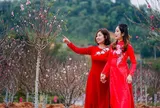 Toàn bộ lịch nghỉ lễ 2027 chi tiết
