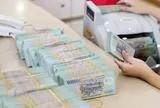 Hoàn thành trước 30/11/2026 chi trả chính sách tinh giản biên chế cho viên chức lãnh đạo, nhân sự hỗ trợ giáo dục sau sắp xếp trường học theo Công văn 9665 ra sao?
