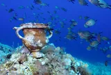 Phát hiện xác tàu đắm 2.300 năm tuổi ngoài khơi Croatia: Hé lộ kho báu đồ gốm và đời sống thủy thủ cổ đại