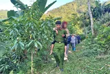 Tìm thấy cụ bà 79 tuổi mất tích nhiều ngày trong rừng ở Tuyên Quang