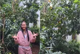 Nhà "Hoa hậu nghèo nhất Việt Nam" ở quê có loài cây nghe tên rất sang trọng, mẹ cô ăn hết mấy chục trái