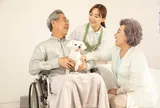 Không phải con cái hay người chăm sóc ở viện dưỡng lão, đây mới là người nên dựa dẫm khi về già để nghỉ hưu được an nhàn