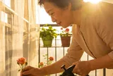 Về già, chỉ cần có chút tiền lương hưu, tôi nhất định sẽ không sống cùng con cái vì lẽ này!