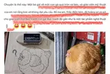 Bé vẽ con gà bị cô chấm "Không đạt yêu cầu!", bố mẹ cung cấp hình ảnh thật khiến ai cũng bật cười