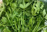 Cây mọc bờ rào "ngọt như mì chính", trồng một lần hái bán quanh năm, thành đặc sản nổi tiếng tốt cho sức khỏe