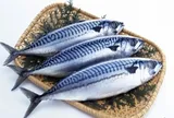 Loại cá bình dân bán đầy chợ Việt nhưng giàu omega-3 hơn cá hồi, thành đặc sản làm nhiều món ngon, tốt cho sức khỏe