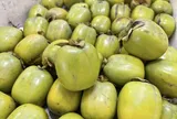 Loại quả đặc sản có ở Thái Nguyên giá 170.000 đồng/kg, trồng trong sân nhà ăn suốt nhiều năm, còn chiêu tài hút lộc