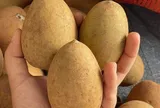 Loại quả mọc bờ rào xưa chín rụng đầy nay thành đặc sản giá 45.000 đ/kg, trồng một lần thu hoạch nhiều năm, tốt cho sức khỏe
