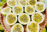 Loại quả mọc bờ rào xưa không ai biết đến nay thành đặc sản 90.000 đ/kg, trồng một lần thu hoạch nhiều năm, tốt cho sức khỏe
