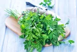 Loại rau tốt trên thế giới, Việt Nam trồng bạt ngàn chỉ 30 ngày cho thu hoạch bán giá rẻ bèo, tốt cho sức khoẻ