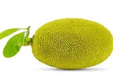 Món xưa chỉ dành cho "nhà nghèo" nay thành đặc sản giá 50.000 đ/kg, làm nhiều món ăn ngon, tốt cho sức  khỏe
