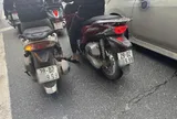Công an thông tin chính thức về 2 chiếc SH cùng mang biển "tứ quý 9" "sánh đôi" trên đường