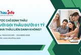 Có được chỉ định thầu đối với gói thầu dưới 01 tỷ cho nhà thầu liên danh không?
