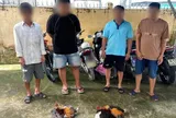 Bắt quả tang 4 đối tượng đá gà ăn tiền