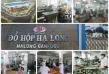 Bắt Tổng giám đốc Công ty Cổ phần Đồ hộp Hạ Long, hé lộ nguyên nhân