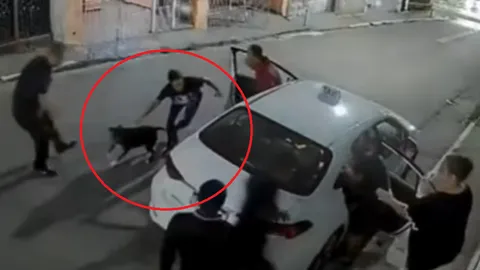 Clip: Chó Pitbull "phản công" kịp thời giúp gia chủ đuổi trộm thành công