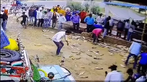 Clip: Thót tim cảnh xe chở cá mất lái, lao thẳng vào tường