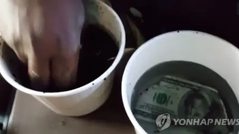 Clip: "Nhuộm đen đô la", trò lừa đảo mới tính vi khiến người dùng mạng dễ sập bẫy