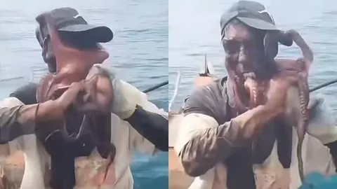 Rùng mình cảnh bạch tuộc quấn chặt mặt ngư dân, suýt ngạt thở trên thuyền