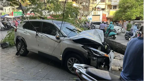 Clip: Danh tính nữ tài xế ô tô tông hàng loạt xe máy, húc bật gốc cây trên phố Trần Đại Nghĩa, Hà Nội