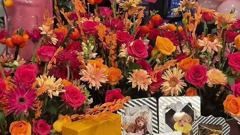 Chi 50 triệu tổ chức sinh nhật cho chó cưng, cô gái gây bão MXH