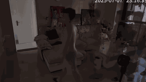 Mua camera giá rẻ, người đàn ông 'gọi vía' thành công khiến dân mạng cười nghiêng ngả