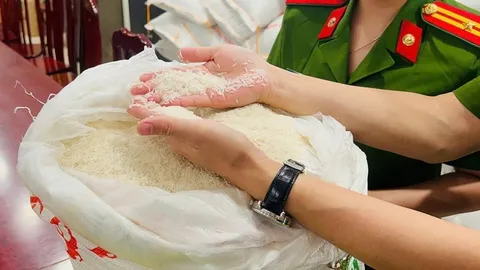 Clip: Cận cảnh quy trình biến gạo rẻ tiền thành Gạo ST25 Ông Cua ngon nhất thế giới