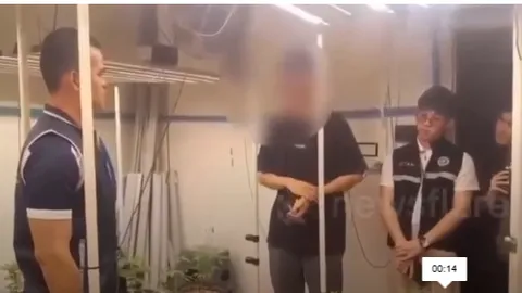 Bí mật kinh hoàng về quy trình sản xuất thạch hình trái tim khiến bé 2 tuổi nhập viện