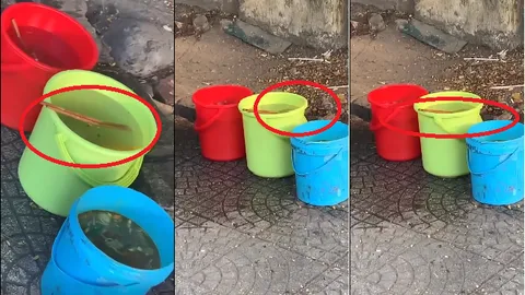 3 "xô nước thần kỳ" giúp rửa bát siêu nhanh tại quán bún ở Huế có gì bên trong?