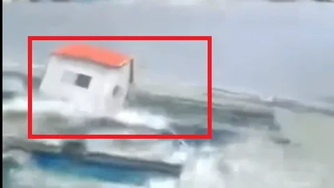 Sức gió "khủng hoảng" của bão Matmo khi đổ bổ khiến người xem cũng phải khiếp vía