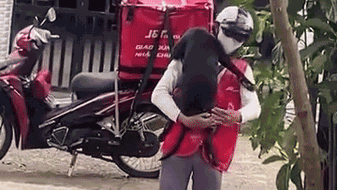 Clip: Shipper đến giao hàng, chú chó cưng “phản chủ” đòi đi theo không muốn về