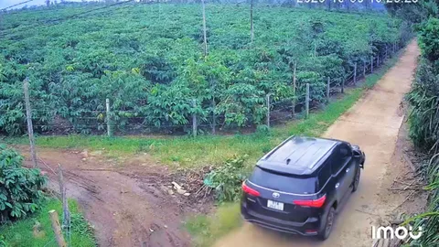 Vụ lái xe tông chết người rồi bỏ trốn vào rẫy cà phê: Kết quả kiểm tra nồng độ cồn của tài xế