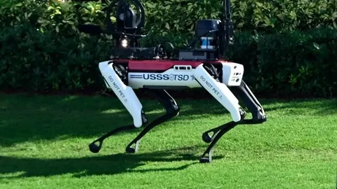 Video: Thú vị cảnh chó robot rảo bước tuần tra quanh dinh thự của ông Trump
