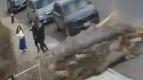 Clip: 3 người trong gia đình suýt bị cây cổ thụ "đè bẹp", thoát chết trong gang tấc