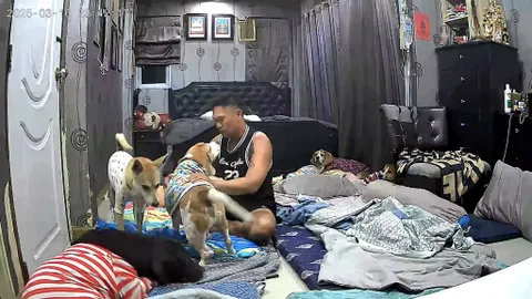 Clip: Cảm động cảnh người chủ bàng hoàng bật dậy, kịp thời cứu chữa chú chó cưng lên cơn động kinh giữa đêm