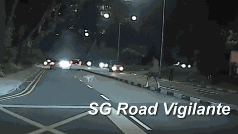 Clip: Chú chó trọng thương khi bị ô tô húc văng giữa đường, người dân liều mình lao ra giúp đỡ