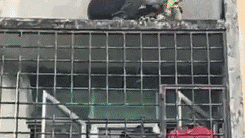Clip: Người đàn ông liều mình cứu bé trai ngồi cheo leo ngoài cửa sổ, được ca ngợi là anh hùng